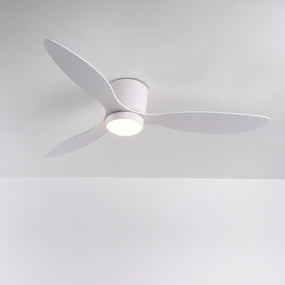 Ceiling Fan with Light | Dimmable LED Ceiling Light with Remote Control