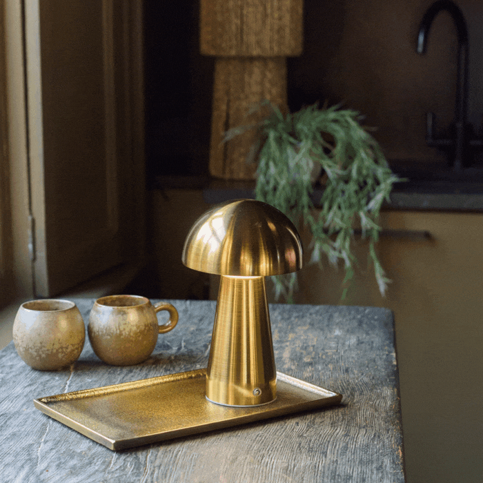 Luna Modern Brass Mushroom Lamp | Rechargeable USB Table Lamp for Living Room